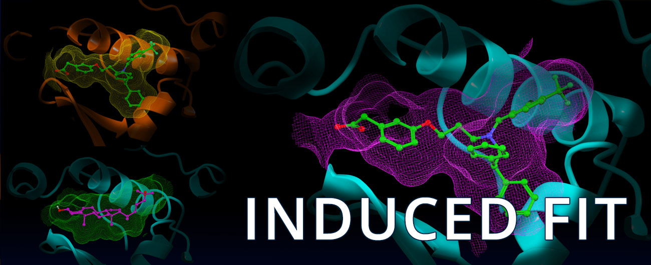 INDUCED FIT banner image
